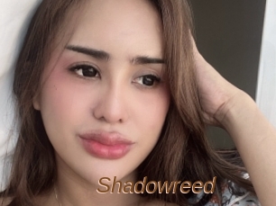 Shadowreed