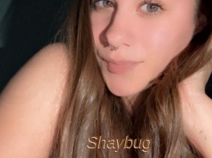 shaybug Annuaire Sexe