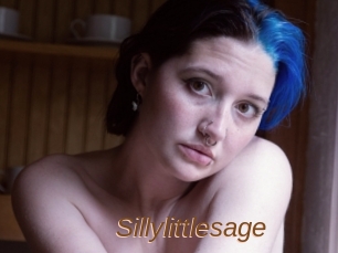 Sillylittlesage