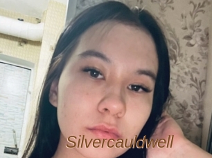 Silvercauldwell