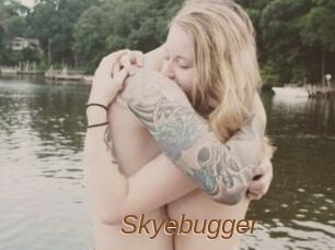 Skyebugger
