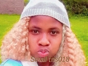 Small_tits018