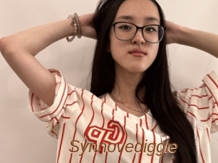 Synnovediggle
