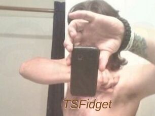 TSFidget
