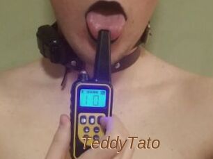 TeddyTato