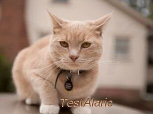 TestAlaric