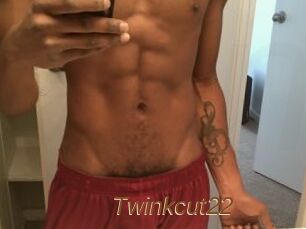Twinkcut22