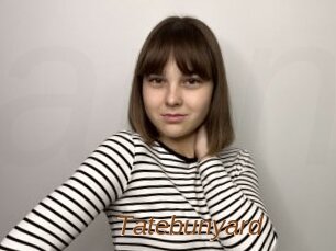 Tatebunyard