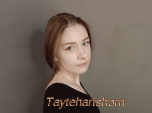 Taytehartshorn