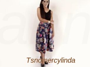 Tsnomercylinda