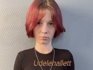 Udelehallett