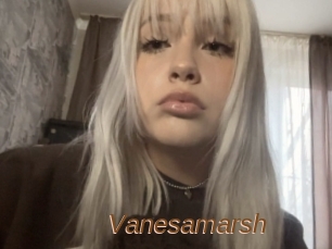 Vanesamarsh