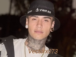 Vectorx073