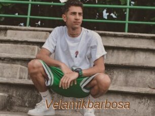 Velamikbarbosa