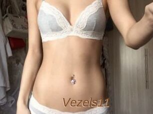 Vezels11