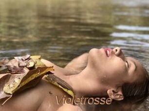 Violetrosse