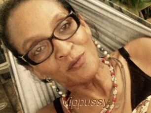 Vippussy