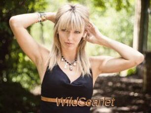 WildScarlet