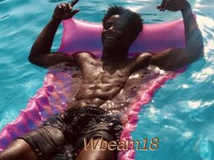 Wbeam18