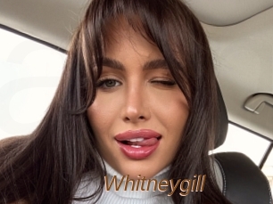 Whitneygill