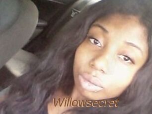 Willow_secret