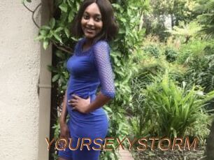 YOURSEXYSTORM