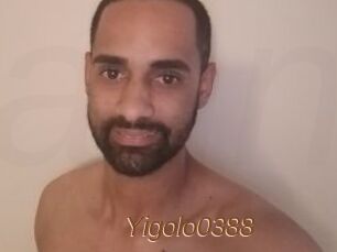 Yigolo0388