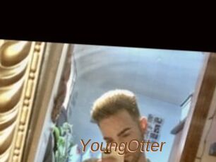 YoungOtter