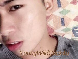 YoungWildCock4u