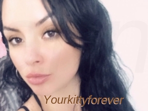 Yourkittyforever