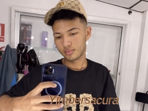 Yimbersacura