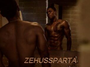 ZEHUS_SPARTA