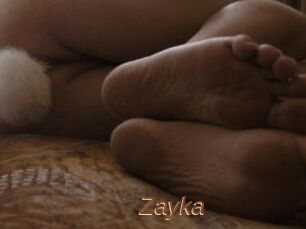 Zayka