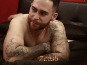 Zeusb